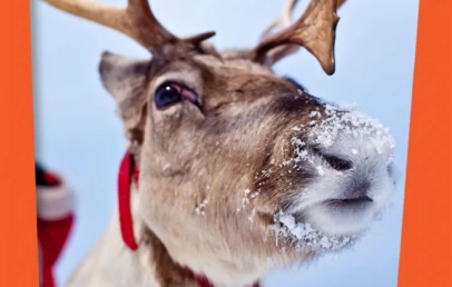 Kako se zovu irvasi Deda Mraza