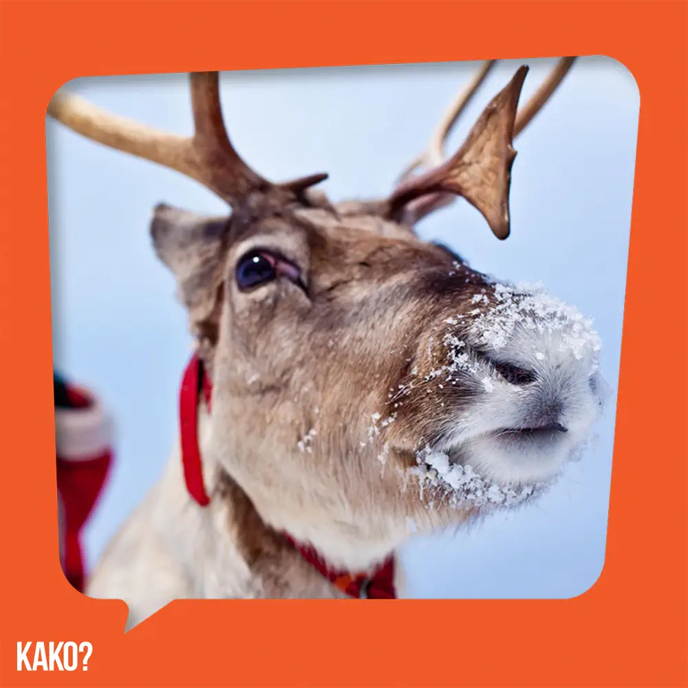 Kako se zovu irvasi Deda Mraza