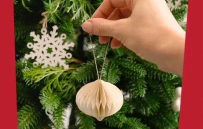 Zašto se kiti jelka