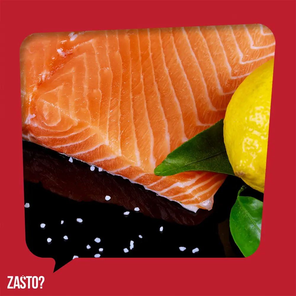 Zašto je riba posna